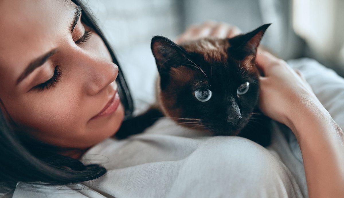 猫と触れ合うと『心が癒える』のはなぜ？考えられる５つの理由