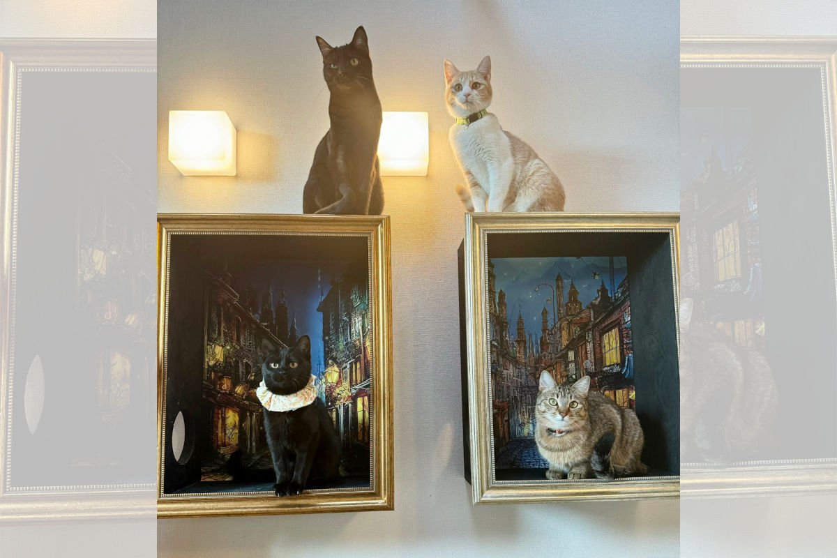 「絵なの？猫？」トリックアート美術館のような「絵になりすぎる猫」
