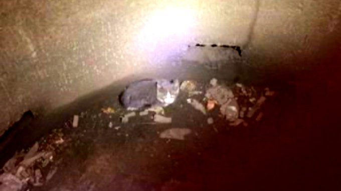 穴の底から子猫の鳴き声…助けたい思いが繋いだ救助の輪に感涙！