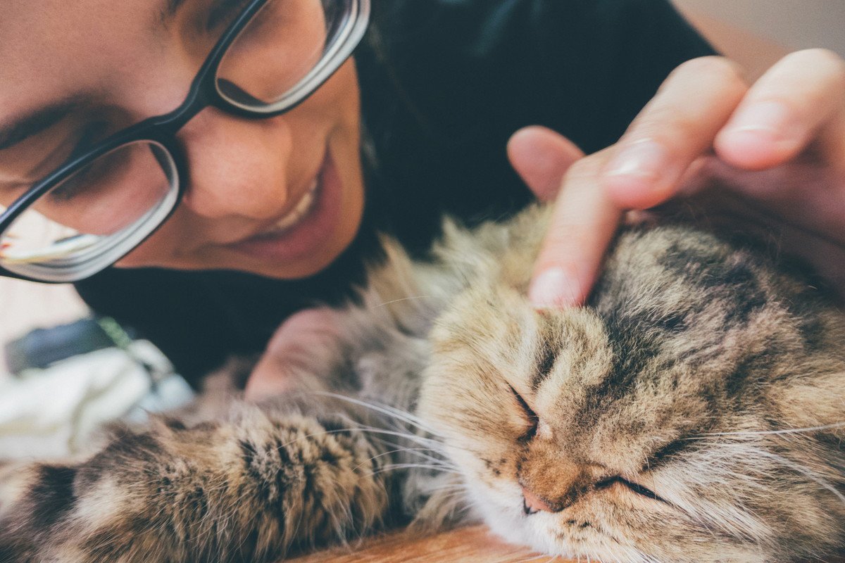 『寝ている猫』に絶対してはいけない5つのNG行為とその理由　嫌われる原因になるかも？