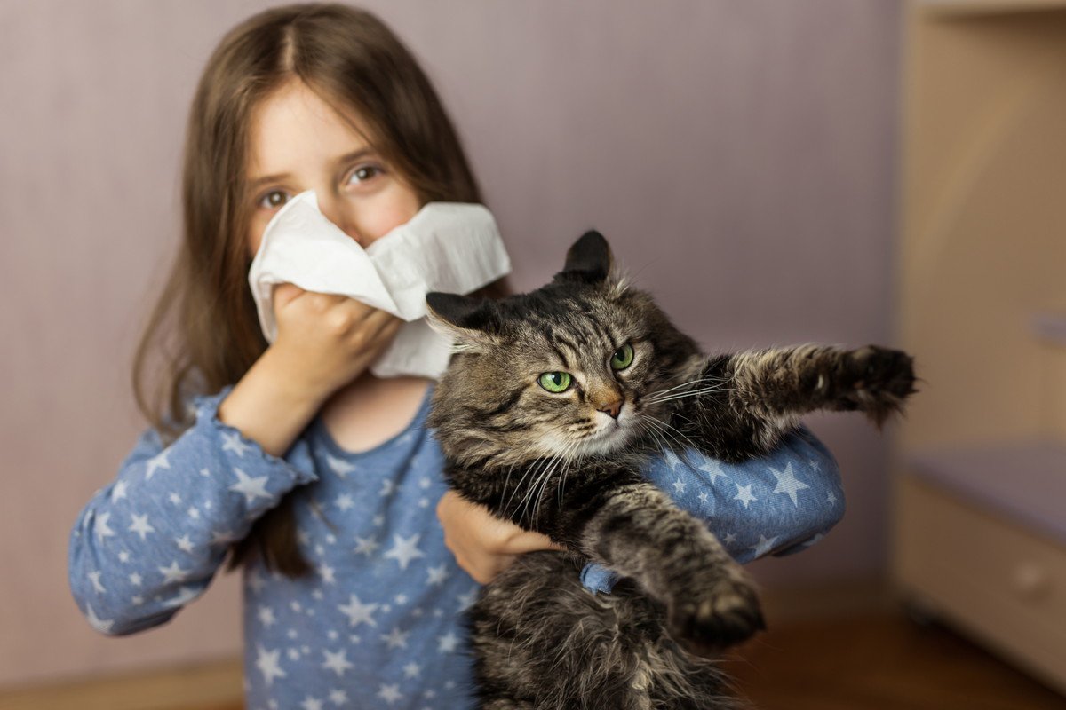 『猫アレルギー』の症状7つ　原因と発症したときに考えるべきこと
