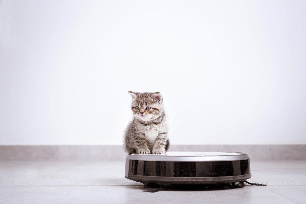 猫のいる家で「ロボット掃除機」は便利？メリット・デメリットや選び方のポイントを解説
