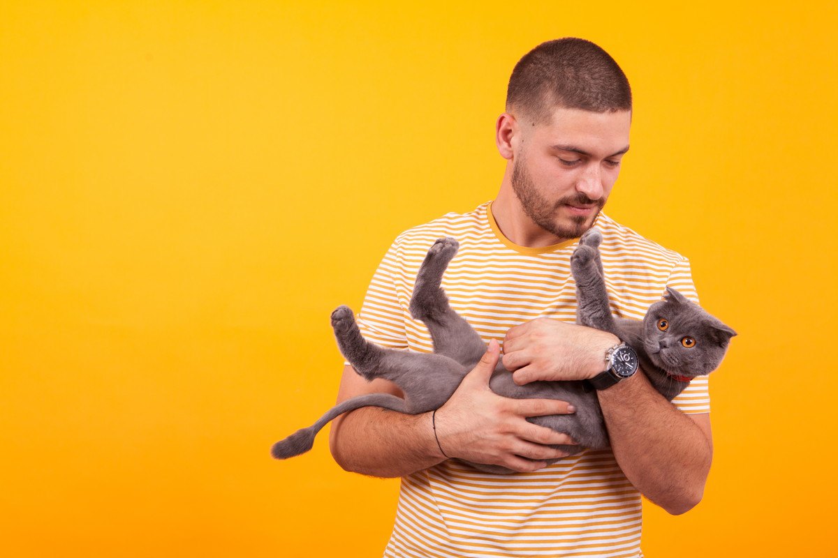 猫を『抱っこ』する時に起こりやすいトラブル5つ