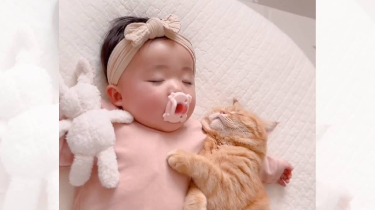 猫と赤ちゃんが仲良しになった結果…少しでも触れていたいと『寄り添って眠る姿』が尊すぎると138万再生「優しい時間」「動悸が」の声