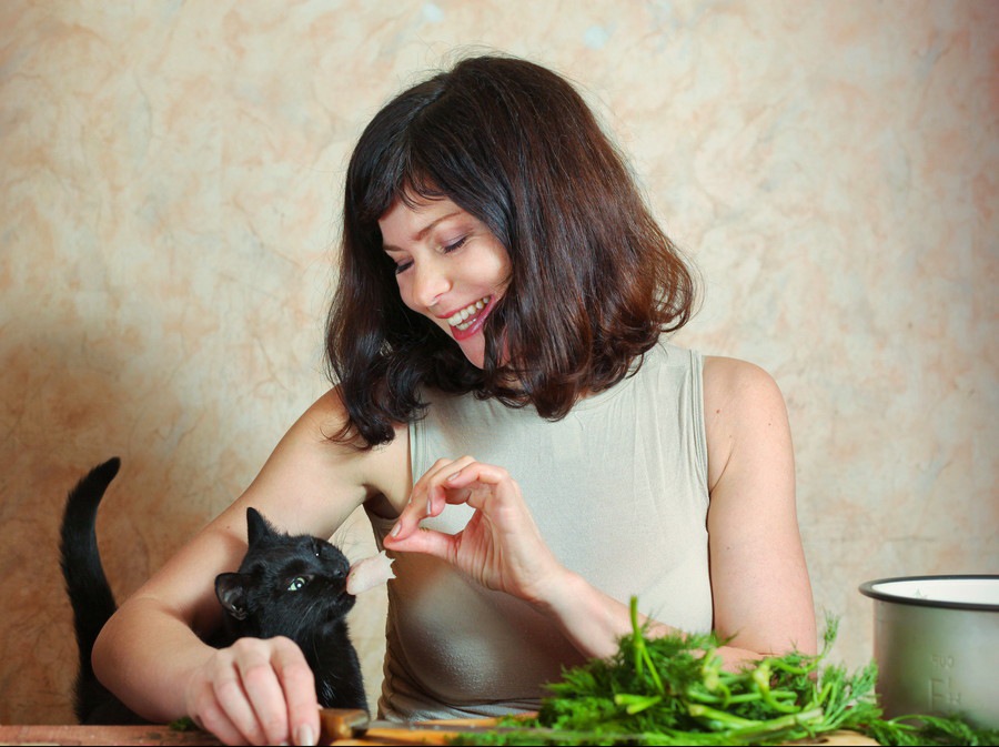 猫はセロリを食べても大丈夫？与えてダメな理由と食べたときの対処法