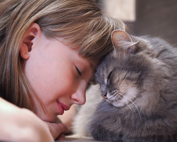 猫がすりすり顔をこすりつけるのはなぜ？しぐさからわかる気持ち