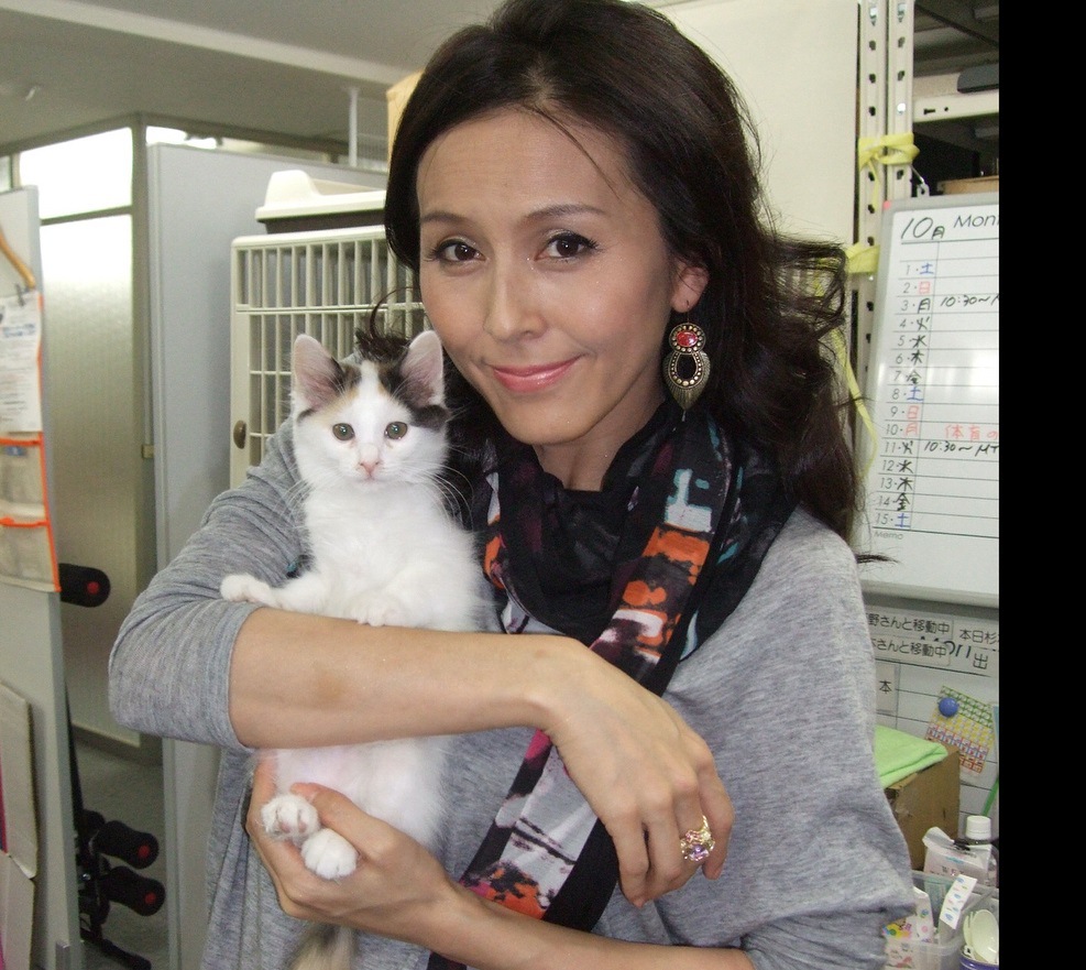 杉本彩さんが飼っている猫の名前や種類