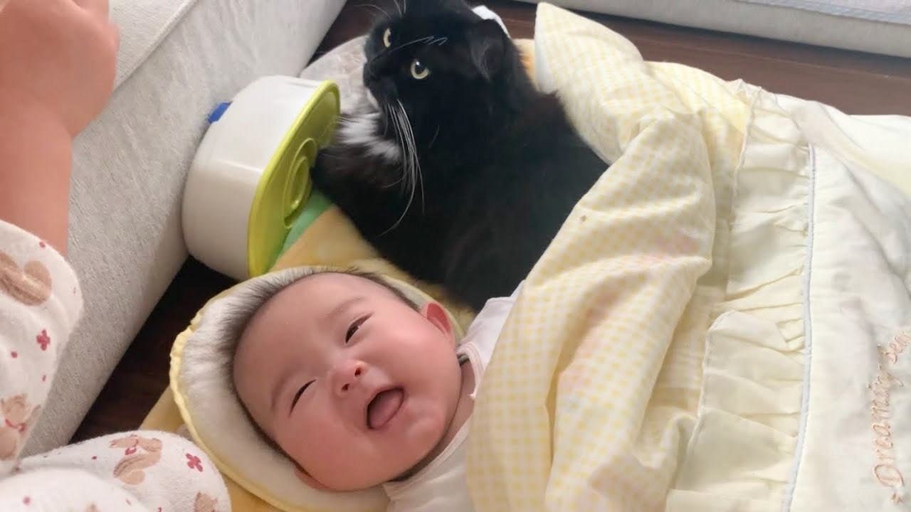 猫が赤ちゃんと『添い寝』した結果…最高の表情を見せる様子が尊すぎると37万1000再生「何時までも続いて欲しい」と反響