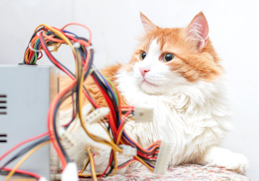 猫が噛みやすい『電気コード・ケーブル』3選！トラブル事例や防止策を解説！
