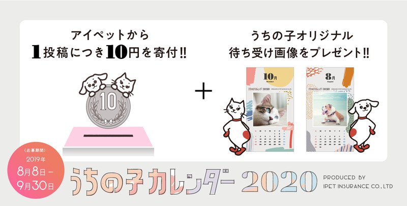 【締切迫る！】全員プレゼント！2020年の愛猫カレンダーを作ろう！