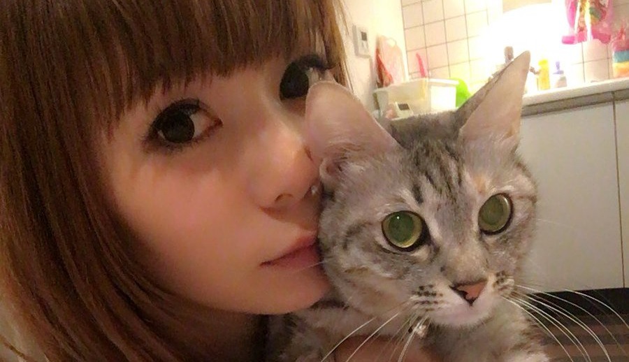 しょこたんこと中川翔子さんは猫好きで有名！飼っているニャンコまとめ