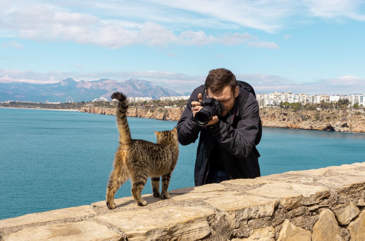 FBフォロワーは8000人以上！放浪癖のある猫、地元の「観光名物」に　英国スコットランド