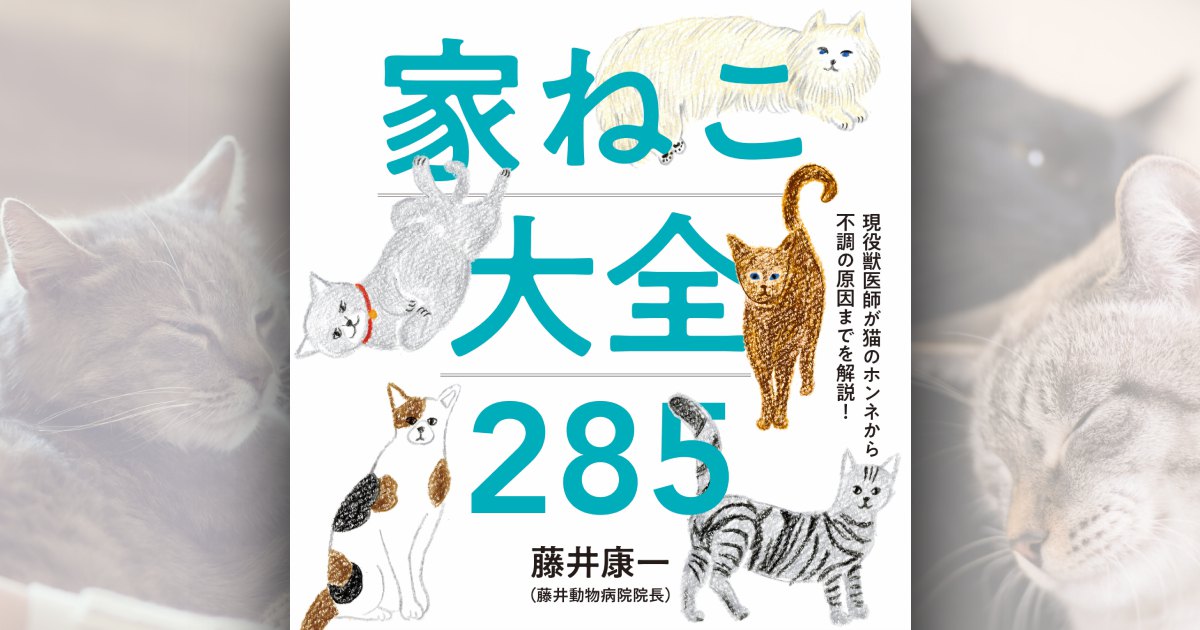 大人気獣医師の初書籍『家ねこ大全285』愛猫家が買うべき理由と感想