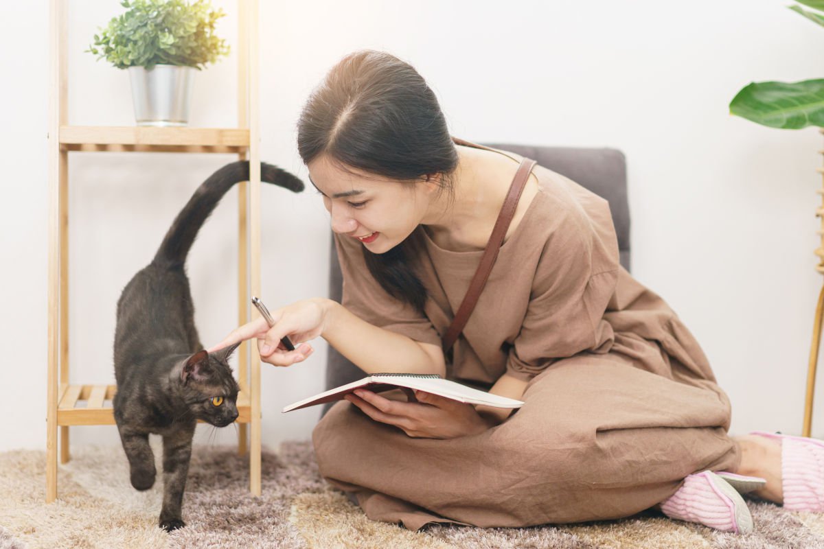 愛猫の健康管理に便利な「健康日記」とは？どんなことを記録すればいい？