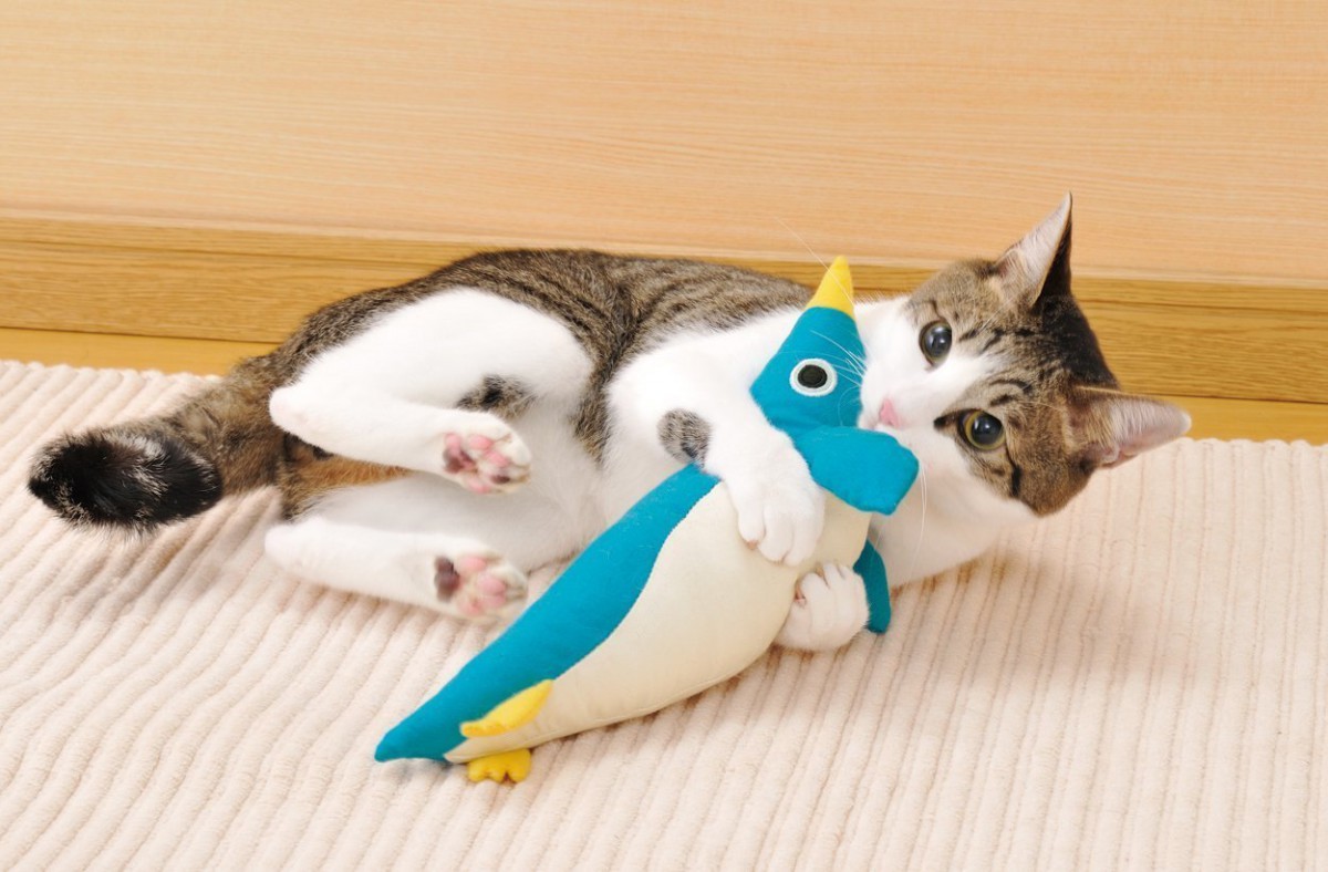 猫のおもちゃ「けりぐるみ」を選ぶ5つのポイント