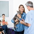 『動物病院』での最低限のマナー4選　獣医師とのいい関係は愛猫の健康…
