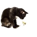 猫がベルを鳴らしてエサを注文する可愛い動画！