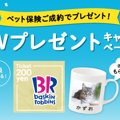 【締切間近】サーティワンアイスクリーム200円ギフト券＆オリジナルマ…