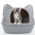 猫トイレのカバーを使うメリットやおすすめ商品