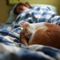 猫が『一緒に寝たがる』5つの理由　逆に添い寝してくれない猫にもワケ…