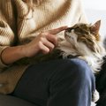 猫との触れ合いで出る“愛情ホルモン”とは？『猫との暮らし』が人間に…