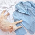 おしゃれでかわいい！猫のパジャマおすすめ商品6選