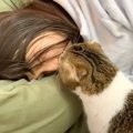 猫が『寝ているママにキス』した結果…頑張って起こそうとする様子が愛おし…