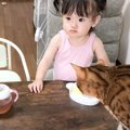 おやつを食べる女の子と『一緒に食べたい猫』の行動…仲良しな光景が心癒さ…