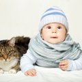 猫と赤ちゃんが安全に同居するための注意点3つ　一緒にいることのメリ…