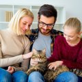 猫は一緒に住む家族に『ランク付け』するの？3つの態度でわかる優劣とは