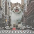 街に巨大猫出現!?話題のアート「猫ゴジラ」とは？