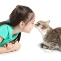 猫からの『危険な臭い』に要注意！3つの原因と対処法
