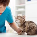 猫のノミが人間についた時の症状と対処法