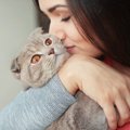 【あるある】猫好きの飼い主が思わずやってしまう9つの行動！