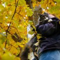 高い木の上で動けなくなった猫を100匹以上救助！木登り上手でやさしい…