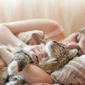 猫と『添い寝』する時の注意3つ｜お互いが快適に寝る為に気を付けるべ…