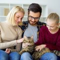 猫が家族に『順位づけ』をする時の法則3つ！上位の家族にだけする行動…