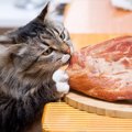 猫に『牛肉・豚肉・鶏肉』は与えても大丈夫？食べさせる時の注意点5つ