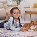 【ペットケアアドバイザー解説】子育て中の家で猫にストレスをかけな…