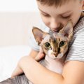 『抱っこ大好き♡』な珍しい猫種5選！喜ばれる抱っこの仕方もご紹介！