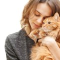 猫と触れ合うと『心が癒やされる』のはなぜ？考えられる3つの理由