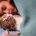 猫に『一緒に寝たいニャ♡』と思わせる人の特徴4選　愛猫と添い寝する…
