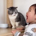 キャットタワーに赤ちゃんが登ってきた結果…猫の『マジかよ』みたいな反応…