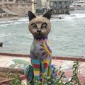猫の楽園マルタ島をリポート！ネコと出会えるおすすめのスポットをご…