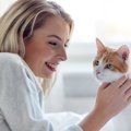 猫がゴロゴロと喉を鳴らす理由や人間にもたらす効果