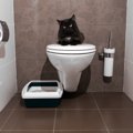猫トイレの種類と選び方、しつけの方法について