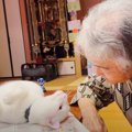見つめ合う二人！猫とおばあちゃんの可愛さに癒される人続出「穏やか…
