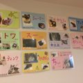 高円寺にある里親募集型猫カフェ『猫縁 ねこえん 』