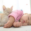 猫が『人間の赤ちゃん』にとる意外な行動3つ！皆が快適に過ごすために…