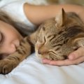 猫が『一緒に寝たがる』時の気持ちとは？3つの心理と気を付けるべきこと